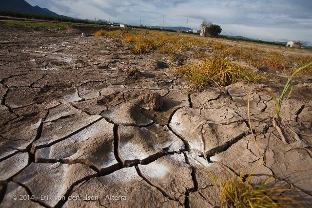 Soil contamination with H2S hydrogen sulfide in the affected Moldovan village